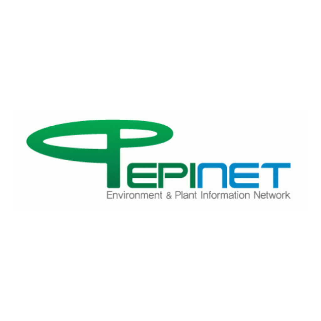 Epinet Logo Image PNG Download