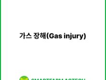 가스 장해(Gas injury) | 스마트팜피디아 (Smartfarm Pedia)