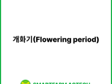 개화기(Flowering period) | 스마트팜피디아 (Smartfarm Pedia)