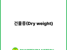 건물중(Dry weight) | 스마트팜피디아 (Smartfarm Pedia)