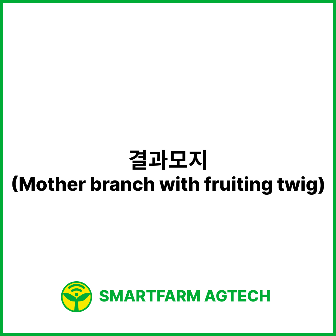 결과모지(Mother branch with fruiting twig) | 스마트팜피디아 (Smartfarm Pedia)