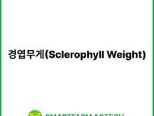 경엽무게(Sclerophyll Weight) | 스마트팜피디아 (Smartfarm Pedia)