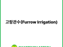 고랑관수(Furrow Irrigation) | 스마트팜피디아 (Smartfarm Pedia)