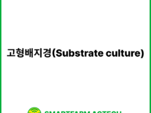 고형배지경(Substrate culture) | 스마트팜피디아 (Smartfarm Pedia)