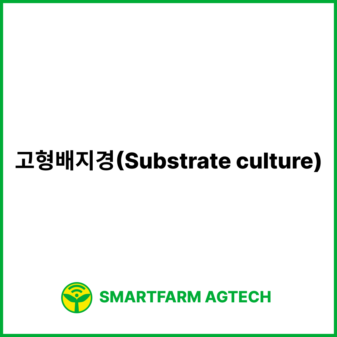 고형배지경(Substrate culture) | 스마트팜피디아 (Smartfarm Pedia)