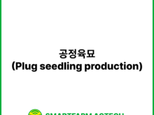 공정육묘(Plug seedling production) | 스마트팜피디아 (Smartfarm Pedia)