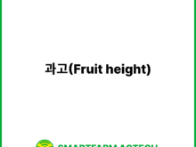 과고(Fruit height) | 스마트팜피디아 (Smartfarm Pedia)