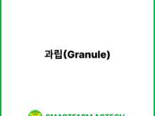 과립(Granule) | 스마트팜피디아 (Smartfarm Pedia)