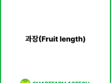 과장(Fruit length) | 스마트팜피디아 (Smartfarm Pedia)