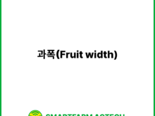 과폭(Fruit width) | 스마트팜피디아 (Smartfarm Pedia)