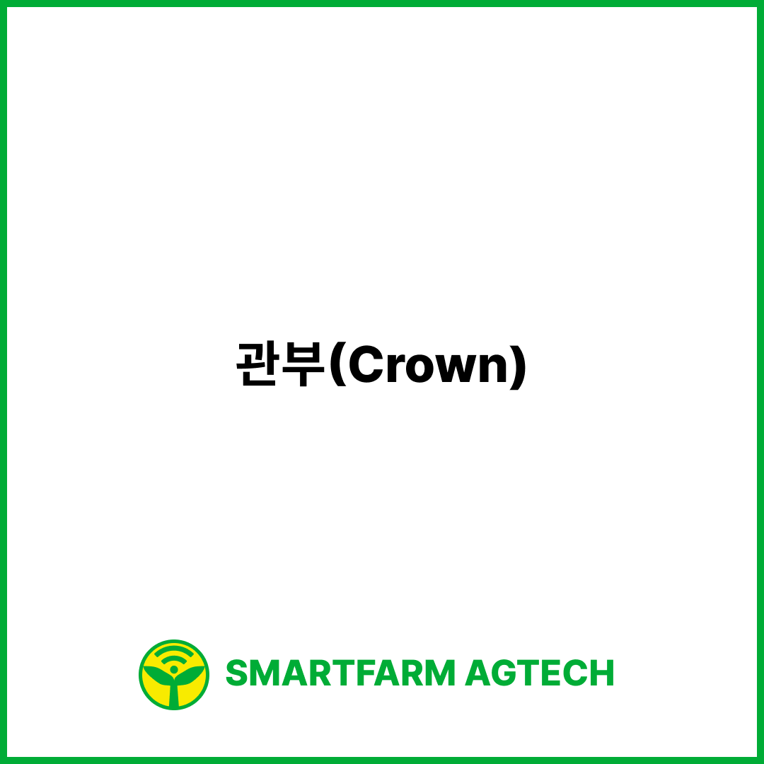 관부(Crown) | 스마트팜피디아 (Smartfarm Pedia)