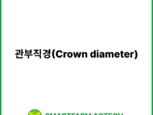 관부직경(Crown diameter) | 스마트팜피디아 (Smartfarm Pedia)