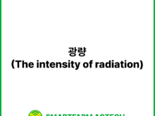 광량(The intensity of radiation) | 스마트팜피디아 (Smartfarm Pedia)