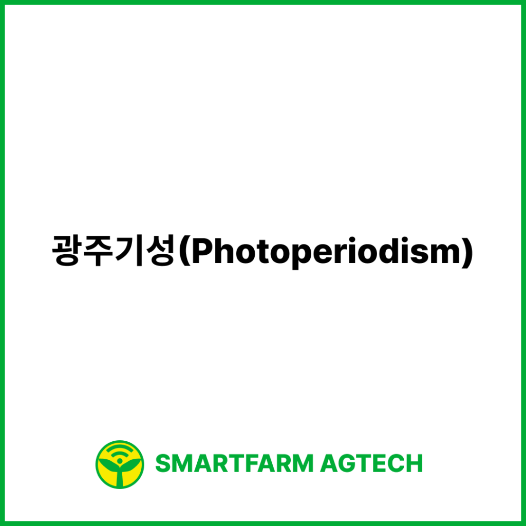 광주기성(Photoperiodism) | 스마트팜피디아 (Smartfarm Pedia)