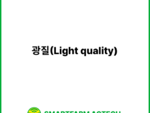 광질(Light quality) | 스마트팜피디아 (Smartfarm Pedia)