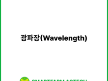 광파장(Wavelength) | 스마트팜피디아 (Smartfarm Pedia)