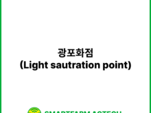 광포화점(Light sautration point) | 스마트팜피디아 (Smartfarm Pedia)