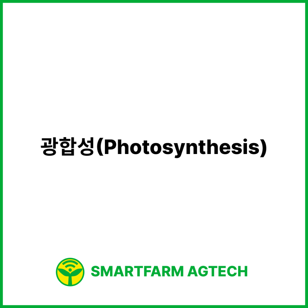 광합성(Photosynthesis) | 스마트팜피디아 (Smartfarm Pedia)