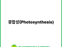 광합성(Photosynthesis) | 스마트팜피디아 (Smartfarm Pedia)