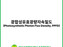 광합성유효광량자속밀도(Photosynthetic Photon Flux Density, PPFD) | 스마트팜피디아 (Smartfarm Pedia)