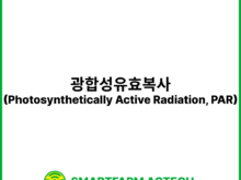 광합성유효복사(Photosynthetically Active Radiation, PAR) | 스마트팜피디아 (Smartfarm Pedia)