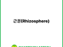 근권(Rhizosphere) | 스마트팜피디아 (Smartfarm Pedia)
