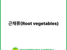 근채류(Root vegetables) | 스마트팜피디아 (Smartfarm Pedia)