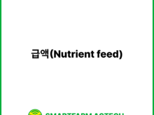 급액(Nutrient feed) | 스마트팜피디아 (Smartfarm Pedia)