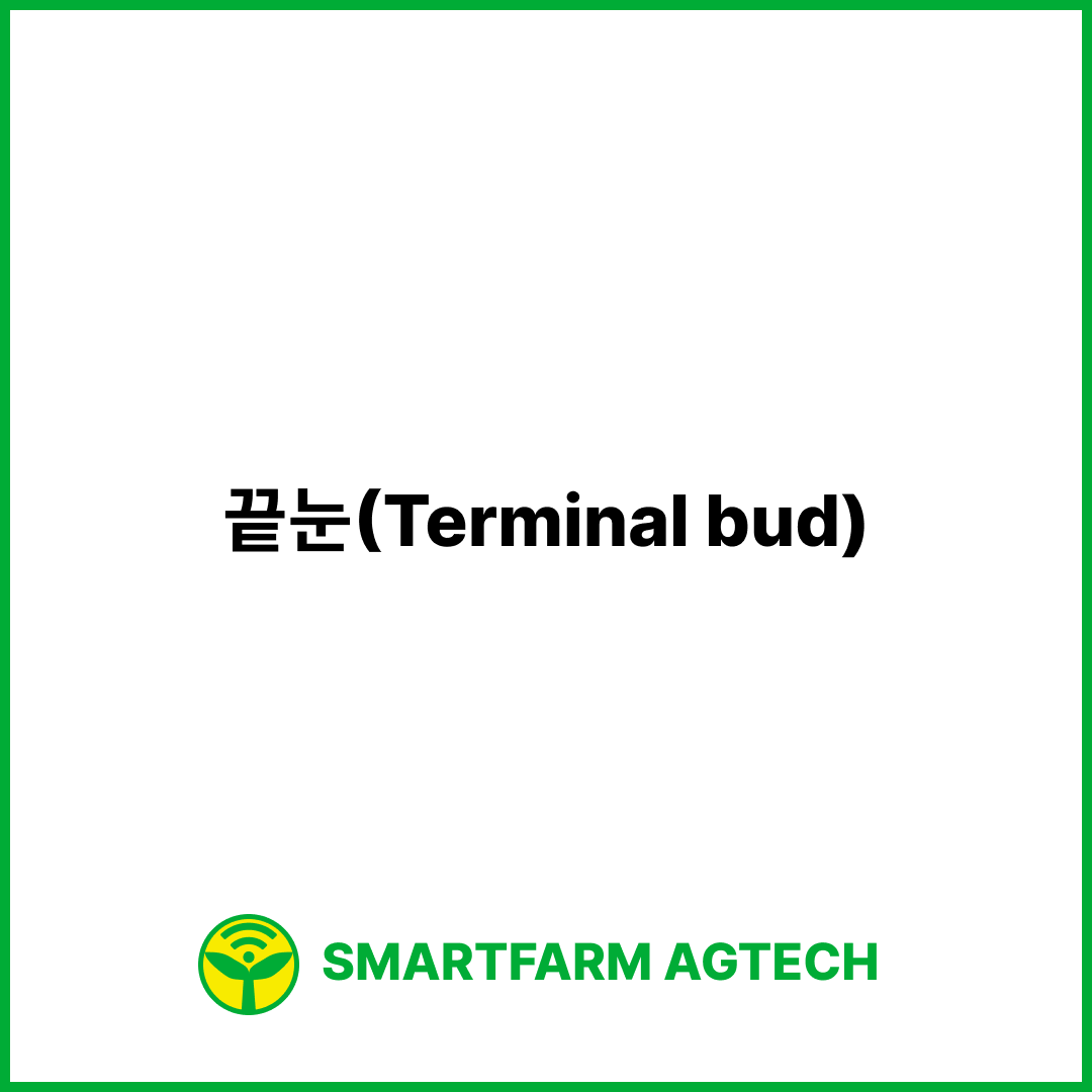 끝눈(Terminal bud) | 스마트팜피디아 (Smartfarm Pedia)