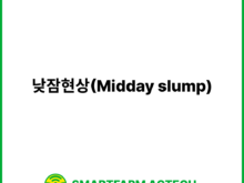 낮잠현상(Midday slump) | 스마트팜피디아 (Smartfarm Pedia)