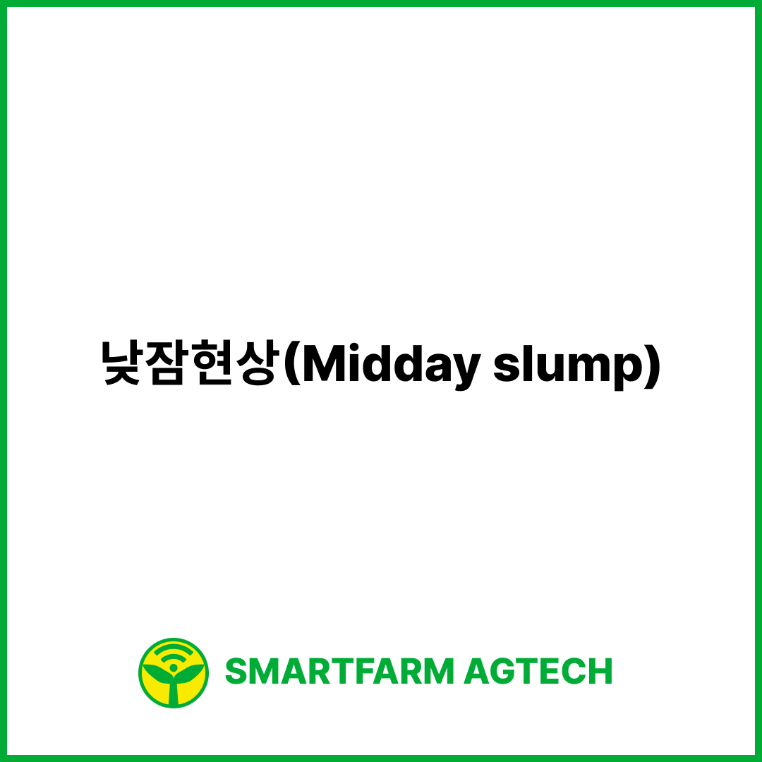 낮잠현상(Midday slump) | 스마트팜피디아 (Smartfarm Pedia)