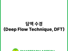 담액 수경(Deep Flow Technique, DFT) | 스마트팜피디아 (Smartfarm Pedia)