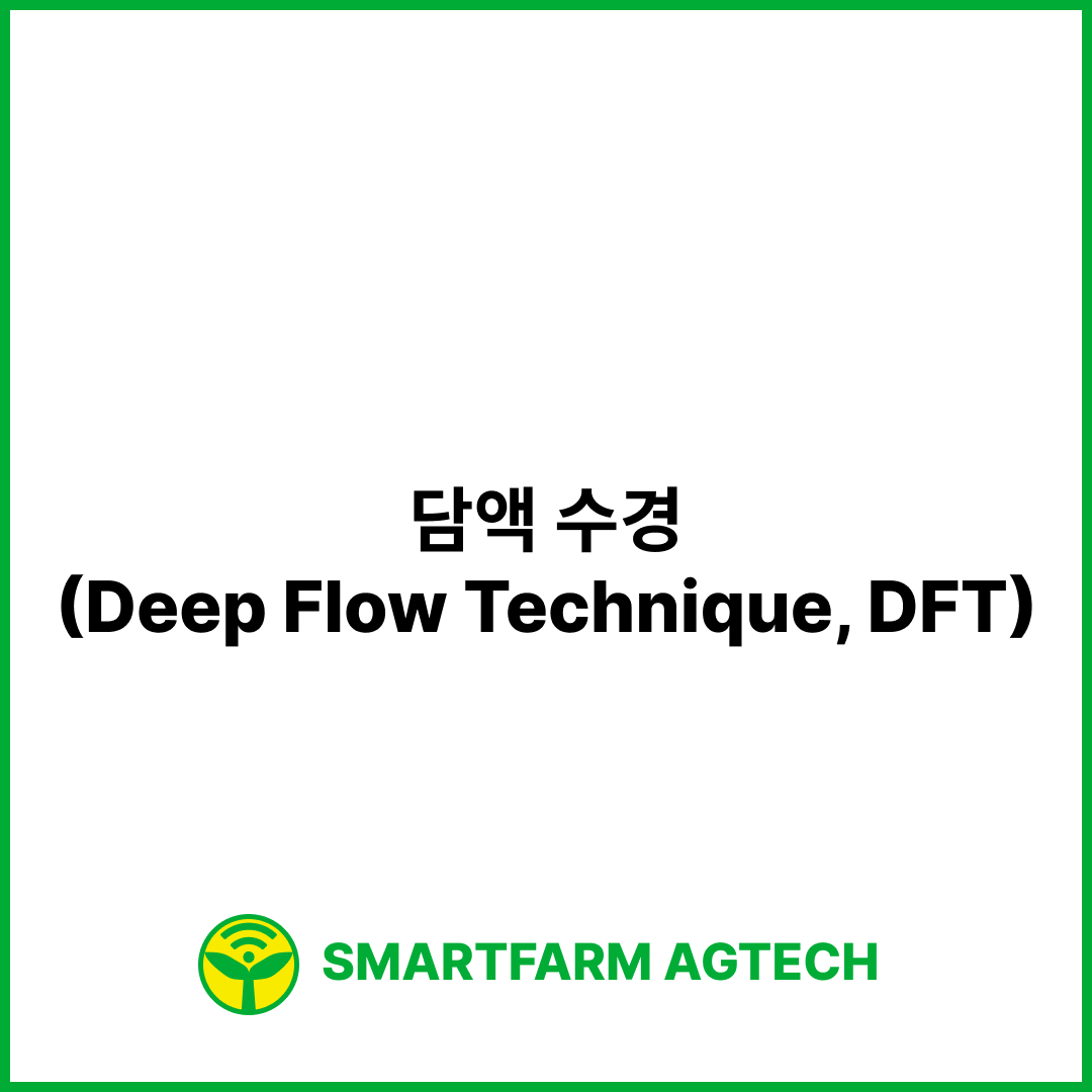 담액 수경(Deep Flow Technique, DFT) | 스마트팜피디아 (Smartfarm Pedia)