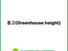 동고(Greenhouse height) | 스마트팜피디아 (Smartfarm Pedia)