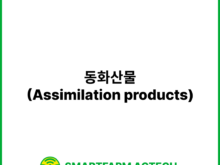 동화산물(Assimilation products) | 스마트팜피디아 (Smartfarm Pedia)