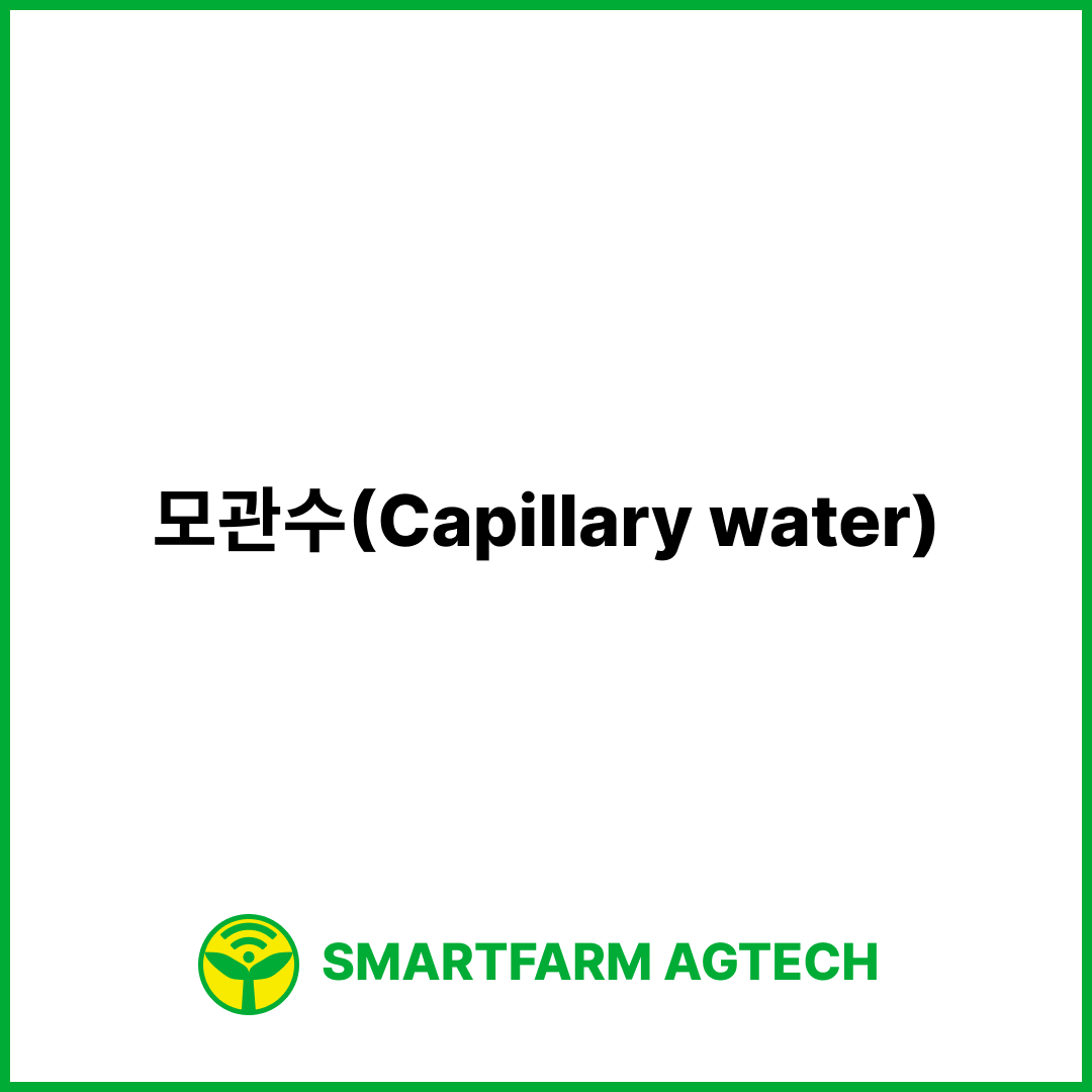 모관수(Capillary water) | 스마트팜피디아 (Smartfarm Pedia)