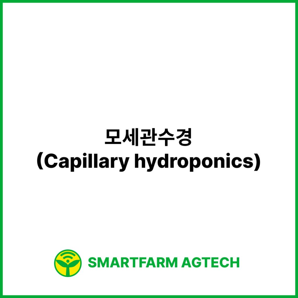 모세관수경(Capillary hydroponics) | 스마트팜피디아 (Smartfarm Pedia)