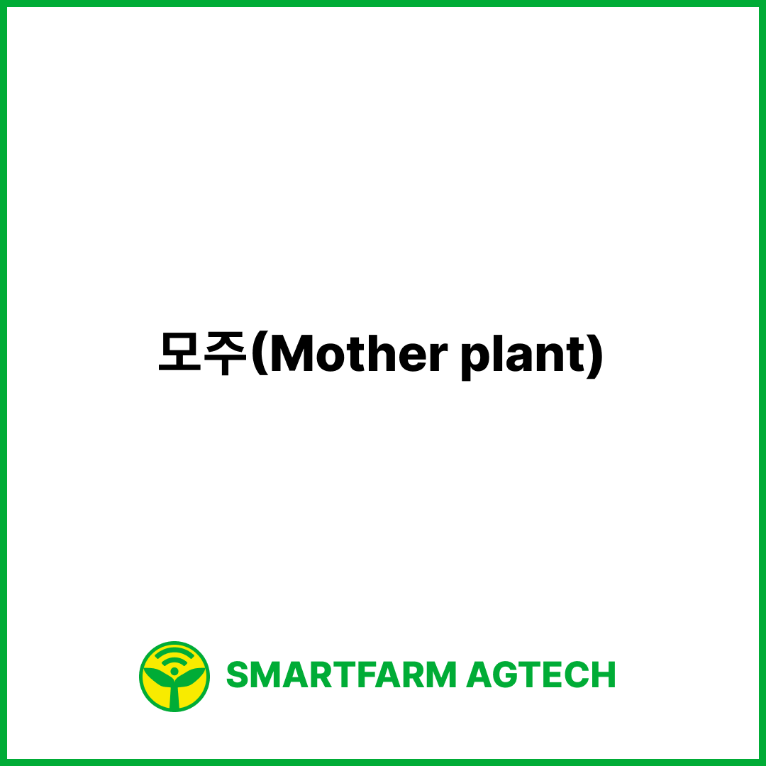 모주(Mother plant) | 스마트팜피디아 (Smartfarm Pedia)