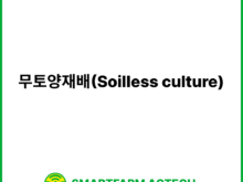 무토양재배(Soilless culture) | 스마트팜피디아 (Smartfarm Pedia)