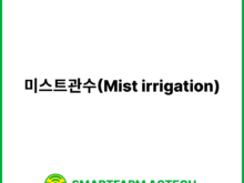 미스트관수(Mist irrigation) | 스마트팜피디아 (Smartfarm Pedia)