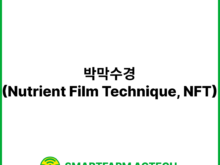 박막수경(Nutrient Film Technique, NFT) | 스마트팜피디아 (Smartfarm Pedia)