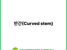 반간(Curved stem) | 스마트팜피디아 (Smartfarm Pedia)