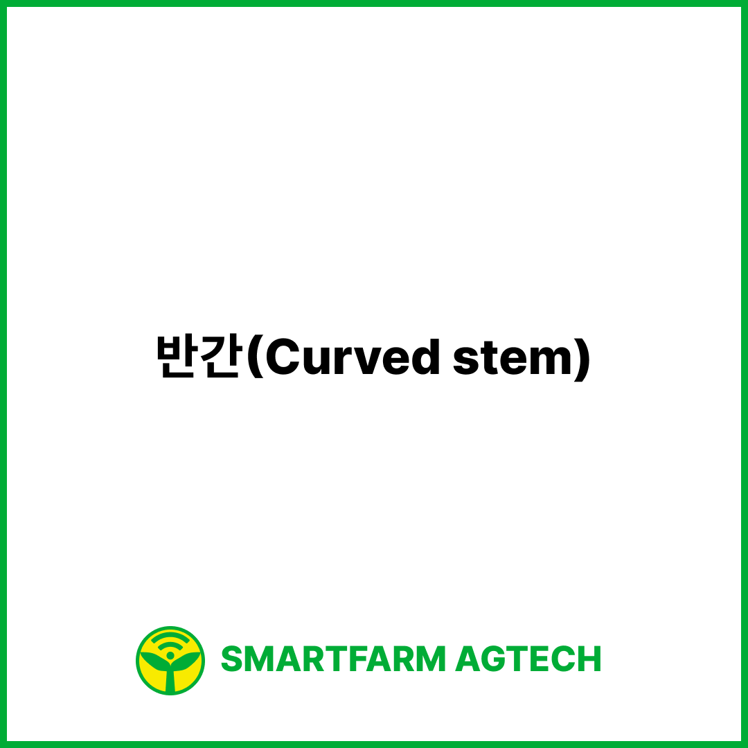 반간(Curved stem) | 스마트팜피디아 (Smartfarm Pedia)