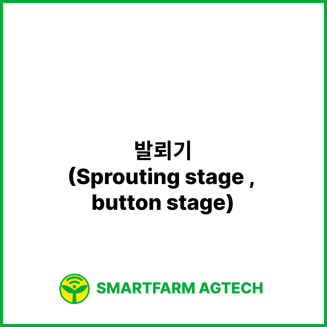 발뢰기(Sprouting stage , button stage) | 스마트팜피디아 (Smartfarm Pedia)