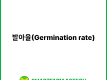 발아율(Germination rate) | 스마트팜피디아 (Smartfarm Pedia)