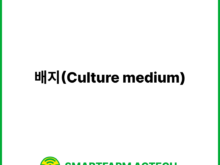 배지(Culture medium) | 스마트팜피디아 (Smartfarm Pedia)