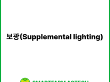 보광(Supplemental lighting) | 스마트팜피디아 (Smartfarm Pedia)