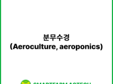 분무수경(Aeroculture, aeroponics) | 스마트팜피디아 (Smartfarm Pedia)