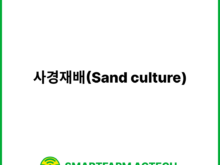 사경재배(Sand culture) | 스마트팜피디아 (Smartfarm Pedia)