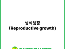 생식생장(Reproductive growth) | 스마트팜피디아 (Smartfarm Pedia)